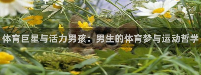 米兰体育官网下载招商电话是多少：体育巨星与活力男孩：