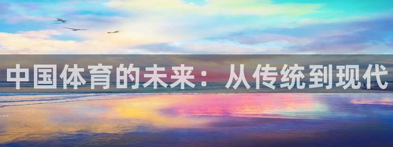 米兰体育官网下载：中国体育的未来：从传统到现代