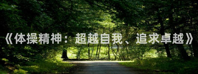 米兰体育官方正版app集团logo：《体操精神：超越