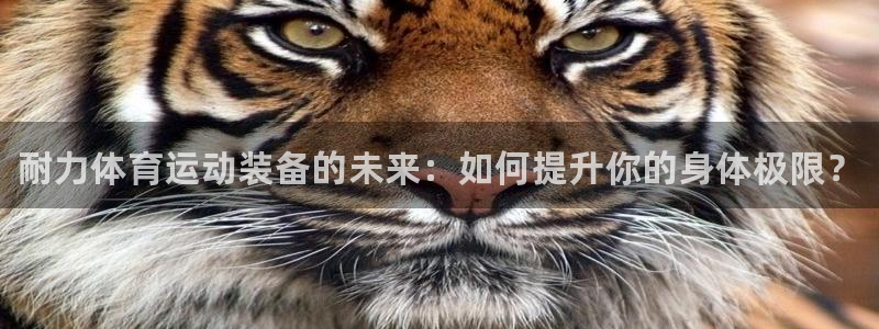 注册米兰体育官方正版app：耐力体育运动装备的未来：