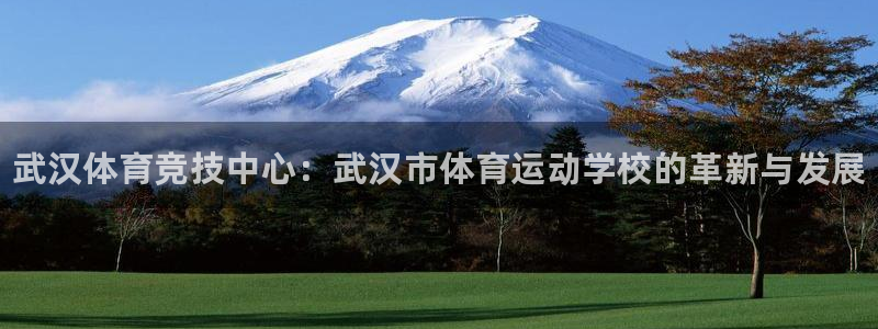 米兰体育官网下载招商电话地址查询：武汉体育竞技中心：