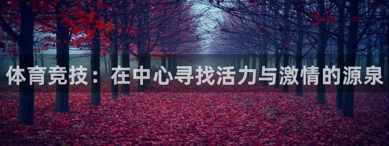 米兰体育官方正版app神州：体育竞技：在中心寻找活力