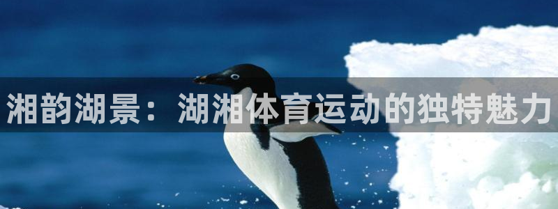 米兰体育官网下载招商电话号码查询是多少：湘韵湖景：湖