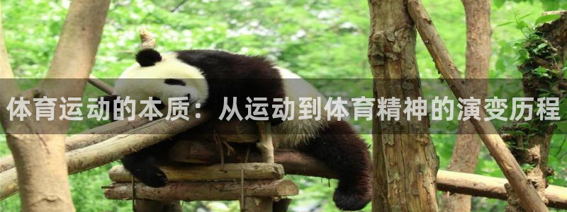 米兰体育官方正版app娱乐网站：体育运动的本质：从运动到体育