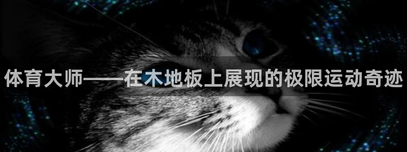 米兰体育官方正版app集团官网网址：体育大师——在木