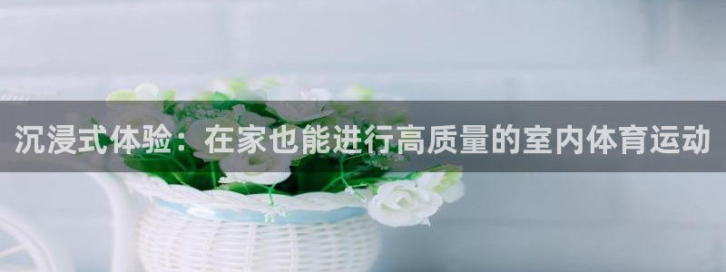 米兰体育官网下载招商：沉浸式体验：在家也能进行高质量