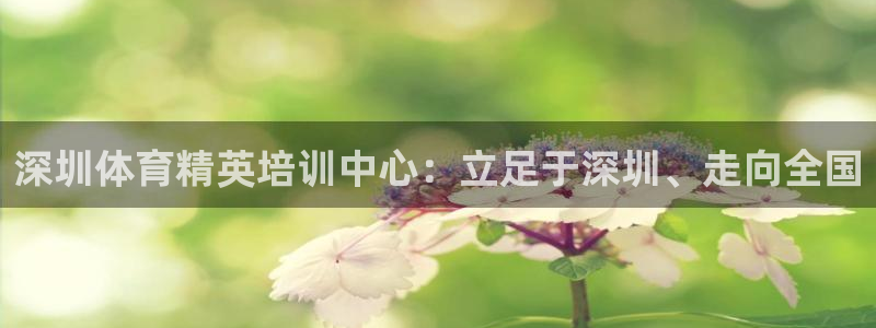 米兰体育官网下载招商：深圳体育精英培训中心：立足于深