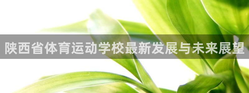 米兰体育官网下载平台注册：陕西省体育运动学校最新发展