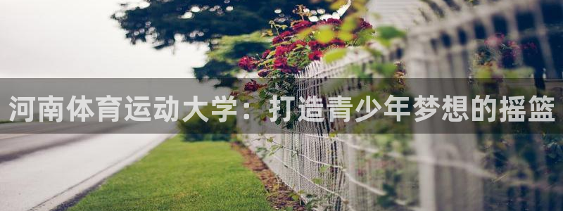 海南米兰体育官网下载发展怎么样：河南体育运动大学：打