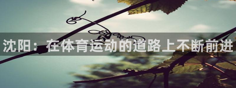 米兰体育官方正版app集团官网首页网址：沈阳：在体育