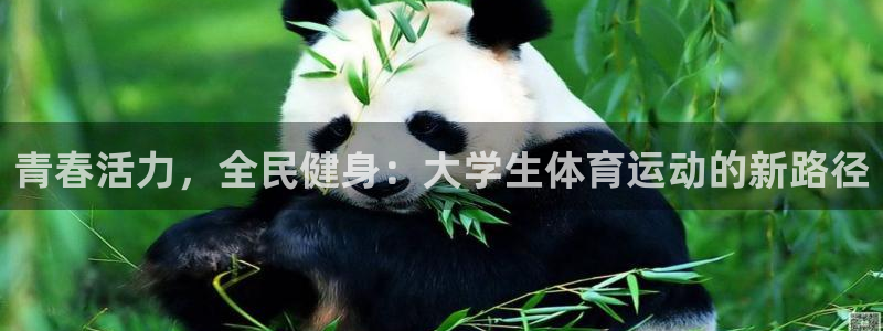 米兰体育官方正版app神州：青春活力，全民健身：大学