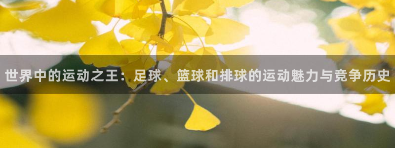 米兰体育官网下载招商电话号码是多少：世界中的运动之王
