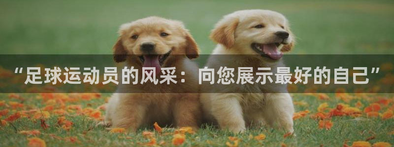 米兰体育官方正版app娱乐首页网站大全：“足球运动员