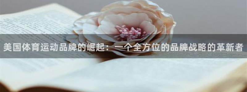 米兰体育官网下载平台：美国体育运动品牌的崛起：一个全方位的品