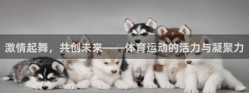 米兰体育官网下载招商电话号码是多少