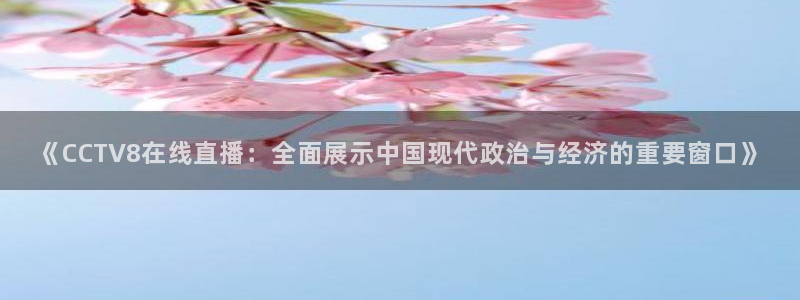 斗球在线直播免费观看直播：《CCTV8在线直播：全面展示中国现代政治与经济的重要窗口》