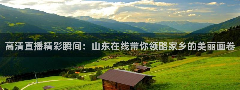 斗球体育直播nba：高清直播精彩瞬间：山东在线带你领略家乡的美丽画卷