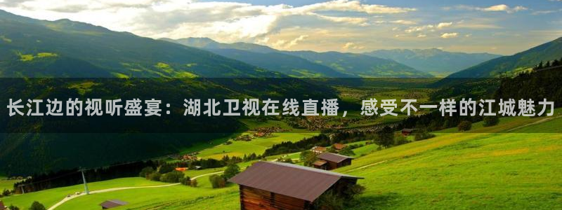 斗球直播旧版下载安装：长江边的视听盛宴：湖北卫视在线直播，感受不一样的江城魅力