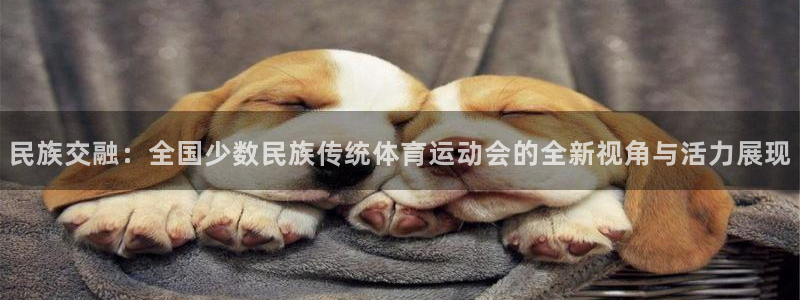 米兰体育app手机下载官网：民族交融：全国少数民族传统体育运