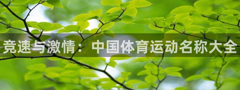 米兰体育场
