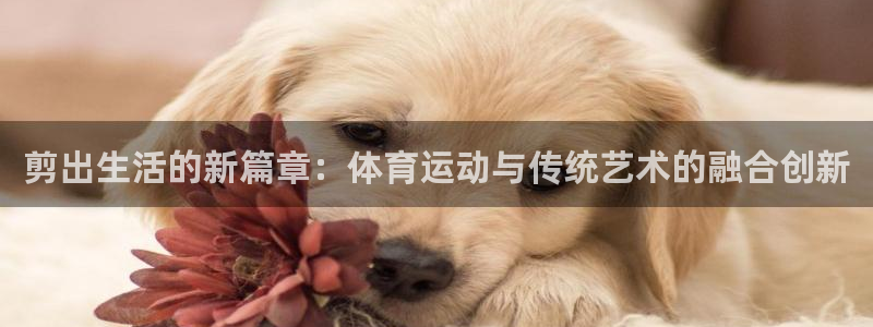  米兰体育平台：剪出生活的新篇章：体育运动与传统艺术的融合创新