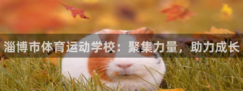 米兰体育如何提现：淄博市体育运动学校：聚集力量，助力成长