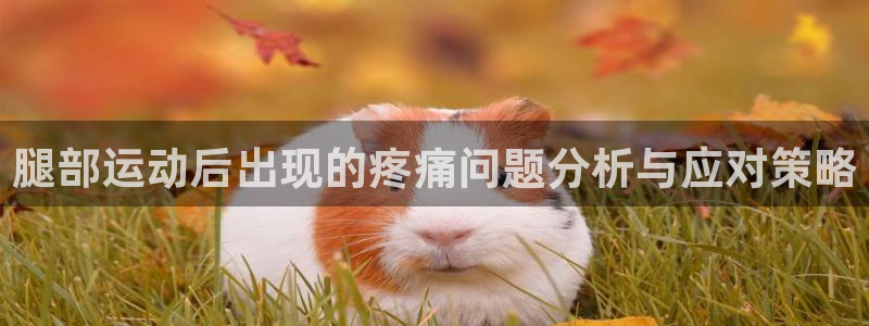 米兰体育官网：腿部运动后出现的疼痛问题分析与应对策略