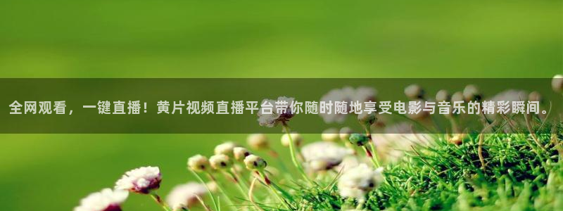 斗球体育直播免费观看：全网观看，一键直播！黄片视频直播平台带你随时随地享受电影与音乐的精彩瞬间。