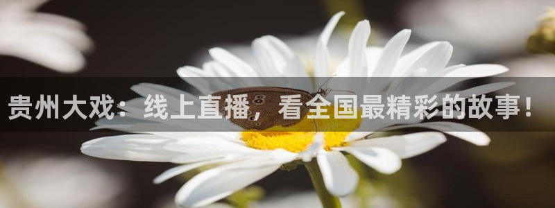 斗球在线直播免费观看直播：贵州大戏：线上直播，看全国最精彩的故事！