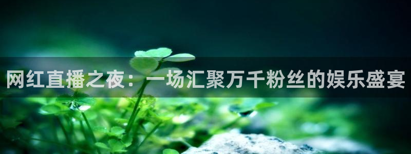 斗球直播在线看：网红直播之夜：一场汇聚万千粉丝的娱乐盛宴