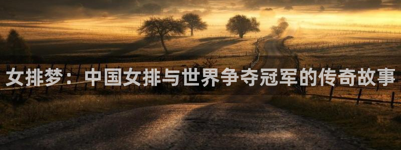 斗球app下载：女排梦：中国女排与世界争夺冠军的传奇故事