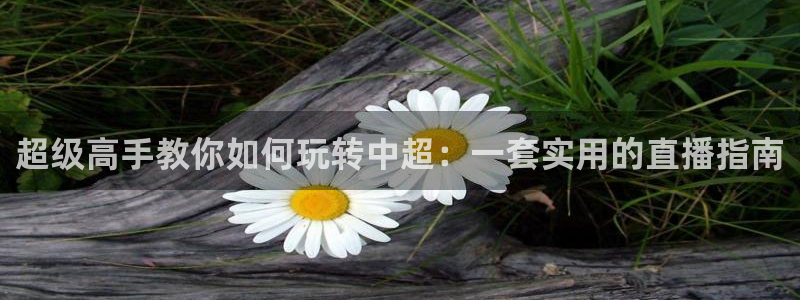 斗球免费直播平台：超级高手教你如何玩转中超：一套实用的直播指南
