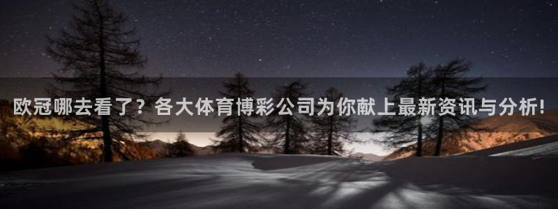 斗球直播官网：欧冠哪去看了？各大体育博彩公司为你献上最新资讯与分析!