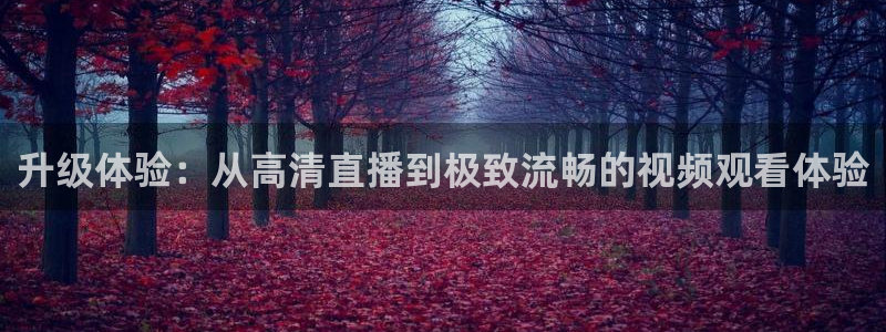 nba直播斗球体育：升级体验：从高清直播到极致流畅的视频观看体验